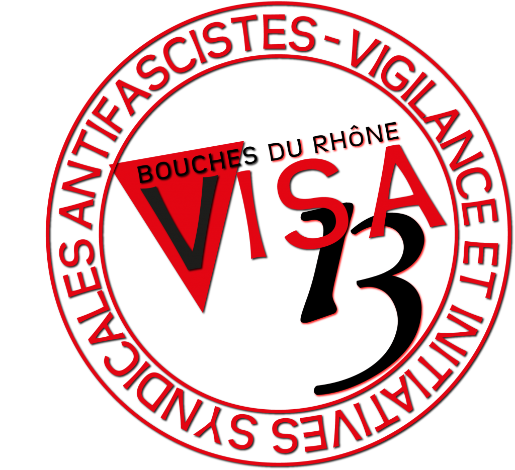 logo visa 13